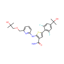 CC(C)(O)COCc1cccc(Nc2sc(-c3c(F)cc(C(C)(C)O)cc3F)cc2C(N)=O)n1 ZINC000139277897