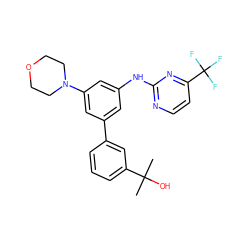 CC(C)(O)c1cccc(-c2cc(Nc3nccc(C(F)(F)F)n3)cc(N3CCOCC3)c2)c1 ZINC001772576327