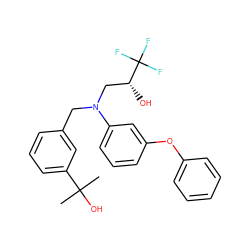 CC(C)(O)c1cccc(CN(C[C@@H](O)C(F)(F)F)c2cccc(Oc3ccccc3)c2)c1 ZINC000013490920