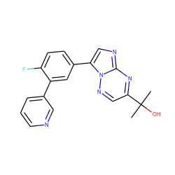 CC(C)(O)c1cnn2c(-c3ccc(F)c(-c4cccnc4)c3)cnc2n1 ZINC000028570945