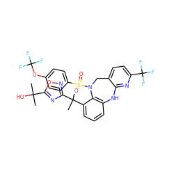 CC(C)(O)c1nc(C(C)(C)c2cccc3c2N(S(=O)(=O)c2ccc(OC(F)(F)F)cc2)Cc2ccc(C(F)(F)F)nc2N3)no1 ZINC000084633064