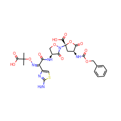 CC(C)(O/N=C(\C(=O)N[C@H]1CON([C@@]2(C(=O)O)C[C@H](NC(=O)OCc3ccccc3)C(=O)O2)C1=O)c1csc(N)n1)C(=O)O ZINC000169347591