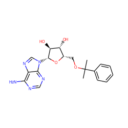 CC(C)(OC[C@@H]1O[C@H](n2cnc3c(N)ncnc32)[C@@H](O)[C@@H]1O)c1ccccc1 ZINC000027749796