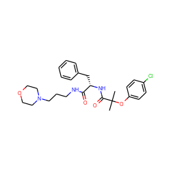 CC(C)(Oc1ccc(Cl)cc1)C(=O)N[C@@H](Cc1ccccc1)C(=O)NCCCN1CCOCC1 ZINC000028356096