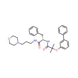 CC(C)(Oc1cccc(-c2ccccc2)c1)C(=O)N[C@@H](Cc1ccccc1)C(=O)NCCCN1CCOCC1 ZINC000028132528