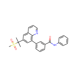 CC(C)(c1cc(-c2cccc(C(=O)Nc3ccccc3)c2)c2ncccc2c1)S(C)(=O)=O ZINC000036268831