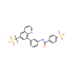 CC(C)(c1cc(-c2cccc(NC(=O)c3ccc(S(C)(=O)=O)cc3)c2)c2ncccc2c1)S(C)(=O)=O ZINC000036268810