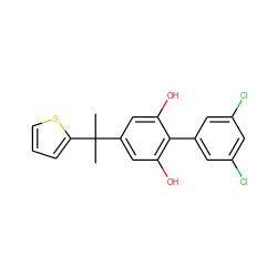 CC(C)(c1cc(O)c(-c2cc(Cl)cc(Cl)c2)c(O)c1)c1cccs1 ZINC000115500024