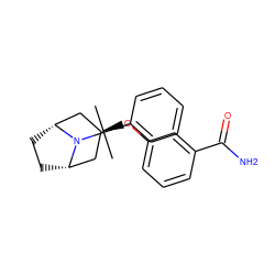 CC(C)(c1ccccc1)N1[C@H]2CC[C@@H]1C[C@@H](Oc1cccc(C(N)=O)c1)C2 ZINC000101366424