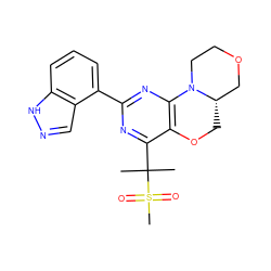 CC(C)(c1nc(-c2cccc3[nH]ncc23)nc2c1OC[C@H]1COCCN21)S(C)(=O)=O ZINC001772613319