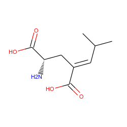 CC(C)/C=C(\C[C@H](N)C(=O)O)C(=O)O ZINC000029478702