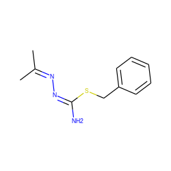 CC(C)=N/N=C(/N)SCc1ccccc1 ZINC000013686790