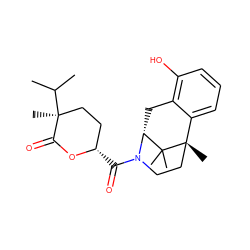 CC(C)[C@@]1(C)CC[C@H](C(=O)N2CC[C@@]3(C)c4cccc(O)c4C[C@@H]2C3(C)C)OC1=O ZINC000221054423