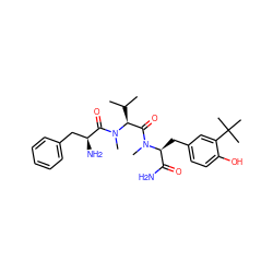 CC(C)[C@@H](C(=O)N(C)[C@@H](Cc1ccc(O)c(C(C)(C)C)c1)C(N)=O)N(C)C(=O)[C@@H](N)Cc1ccccc1 ZINC000053182508