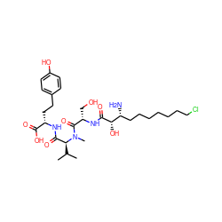 CC(C)[C@@H](C(=O)N[C@@H](CCc1ccc(O)cc1)C(=O)O)N(C)C(=O)[C@H](CO)NC(=O)[C@@H](O)[C@H](N)CCCCCCCCl ZINC000104159743