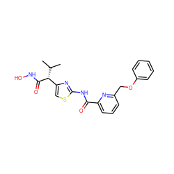 CC(C)[C@@H](C(=O)NO)c1csc(NC(=O)c2cccc(COc3ccccc3)n2)n1 ZINC000028462535