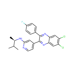 CC(C)[C@@H](C)Nc1cc(-c2nc3cc(Cl)c(Cl)cc3nc2-c2ccc(F)cc2)ccn1 ZINC000045315778