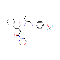 CC(C)[C@@H](CNc1ccc(OC(F)(F)F)cc1)NC(=O)[C@@H](CC(=O)N1CCOCC1)CC1CCCCC1 ZINC000014971691