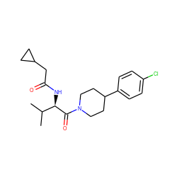 CC(C)[C@@H](NC(=O)CC1CC1)C(=O)N1CCC(c2ccc(Cl)cc2)CC1 ZINC000095575226