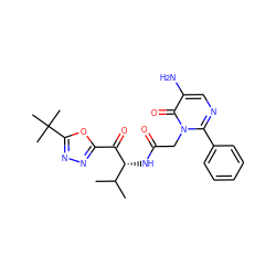 CC(C)[C@@H](NC(=O)Cn1c(-c2ccccc2)ncc(N)c1=O)C(=O)c1nnc(C(C)(C)C)o1 ZINC000000602904