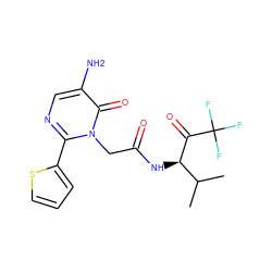 CC(C)[C@@H](NC(=O)Cn1c(-c2cccs2)ncc(N)c1=O)C(=O)C(F)(F)F ZINC000001535347