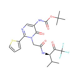 CC(C)[C@@H](NC(=O)Cn1c(-c2cccs2)ncc(NC(=O)OC(C)(C)C)c1=O)C(=O)C(F)(F)F ZINC000026019277