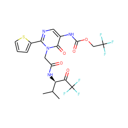 CC(C)[C@@H](NC(=O)Cn1c(-c2cccs2)ncc(NC(=O)OCC(F)(F)F)c1=O)C(=O)C(F)(F)F ZINC000003842972