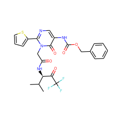 CC(C)[C@@H](NC(=O)Cn1c(-c2cccs2)ncc(NC(=O)OCc2ccccc2)c1=O)C(=O)C(F)(F)F ZINC000026011882