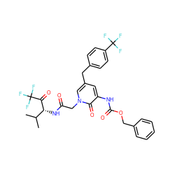 CC(C)[C@@H](NC(=O)Cn1cc(Cc2ccc(C(F)(F)F)cc2)cc(NC(=O)OCc2ccccc2)c1=O)C(=O)C(F)(F)F ZINC000026834488