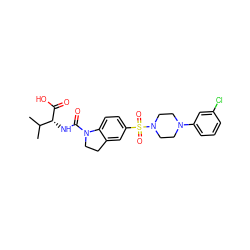 CC(C)[C@@H](NC(=O)N1CCc2cc(S(=O)(=O)N3CCN(c4cccc(Cl)c4)CC3)ccc21)C(=O)O ZINC000118533574