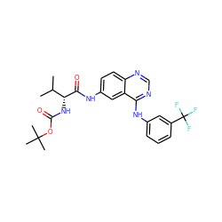 CC(C)[C@@H](NC(=O)OC(C)(C)C)C(=O)Nc1ccc2ncnc(Nc3cccc(C(F)(F)F)c3)c2c1 ZINC001772623970