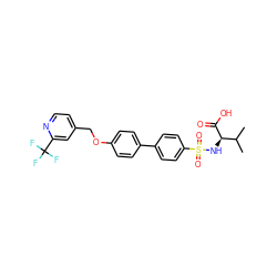 CC(C)[C@@H](NS(=O)(=O)c1ccc(-c2ccc(OCc3ccnc(C(F)(F)F)c3)cc2)cc1)C(=O)O ZINC000073140490