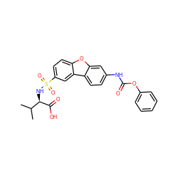 CC(C)[C@@H](NS(=O)(=O)c1ccc2oc3cc(NC(=O)Oc4ccccc4)ccc3c2c1)C(=O)O ZINC000040952494