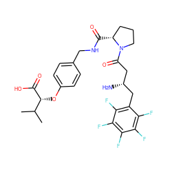 CC(C)[C@@H](Oc1ccc(CNC(=O)[C@@H]2CCCN2C(=O)C[C@@H](N)Cc2c(F)c(F)c(F)c(F)c2F)cc1)C(=O)O ZINC000028385925