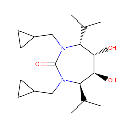 CC(C)[C@@H]1[C@H](O)[C@@H](O)[C@@H](C(C)C)N(CC2CC2)C(=O)N1CC1CC1 ZINC000006486985