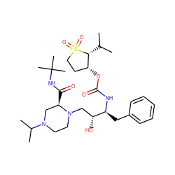 CC(C)[C@@H]1[C@H](OC(=O)N[C@@H](Cc2ccccc2)[C@H](O)CN2CCN(C(C)C)C[C@H]2C(=O)NC(C)(C)C)CCS1(=O)=O ZINC000023357714