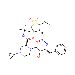 CC(C)[C@@H]1[C@H](OC(=O)N[C@@H](Cc2ccccc2)[C@H](O)CN2CCN(C3CC3)C[C@H]2C(=O)NC(C)(C)C)CCS1(=O)=O ZINC000019366833
