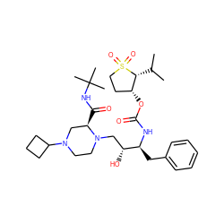 CC(C)[C@@H]1[C@H](OC(=O)N[C@@H](Cc2ccccc2)[C@H](O)CN2CCN(C3CCC3)C[C@H]2C(=O)NC(C)(C)C)CCS1(=O)=O ZINC000023357734