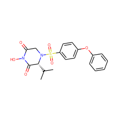 CC(C)[C@@H]1C(=O)N(O)C(=O)CN1S(=O)(=O)c1ccc(Oc2ccccc2)cc1 ZINC000073221760