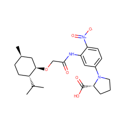 CC(C)[C@@H]1CC[C@@H](C)C[C@H]1OCC(=O)Nc1cc(N2CCC[C@@H]2C(=O)O)ccc1[N+](=O)[O-] ZINC000013553380