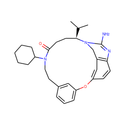 CC(C)[C@@H]1CCC(=O)N(C2CCCCC2)CCc2cccc(c2)Oc2ccc3c(c2)CN1C(N)=N3 ZINC000043171639