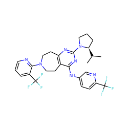 CC(C)[C@@H]1CCCN1c1nc2c(c(Nc3ccc(C(F)(F)F)nc3)n1)CCN(c1ncccc1C(F)(F)F)CC2 ZINC000147868199