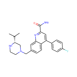 CC(C)[C@@H]1CN(Cc2ccc3c(-c4ccc(F)cc4)cc(C(N)=O)nc3c2)CCN1 ZINC000221618558