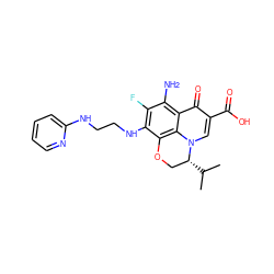 CC(C)[C@@H]1COc2c(NCCNc3ccccn3)c(F)c(N)c3c(=O)c(C(=O)O)cn1c23 ZINC000072124605