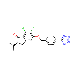 CC(C)[C@@H]1Cc2cc(OCc3ccc(-c4nnn[nH]4)cc3)c(Cl)c(Cl)c2C1=O ZINC000028343001