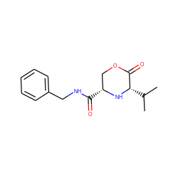 CC(C)[C@@H]1N[C@H](C(=O)NCc2ccccc2)COC1=O ZINC000038147801