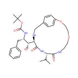 CC(C)[C@@H]1NC(=O)[C@@H]([C@H](O)[C@H](Cc2ccccc2)NC(=O)OC(C)(C)C)NCc2ccc(cc2)OCCOCCNC1=O ZINC000014943195