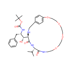 CC(C)[C@@H]1NC(=O)[C@@H]([C@H](O)[C@H](Cc2ccccc2)NC(=O)OC(C)(C)C)NCc2ccc(cc2)OCCOCCOCCOCCNC1=O ZINC000026973649