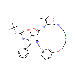 CC(C)[C@@H]1NC(=O)[C@@H]([C@H](O)[C@H](Cc2ccccc2)NC(=O)OC(C)(C)C)NCc2cccc(c2)OCCOCCNC1=O ZINC000014943207