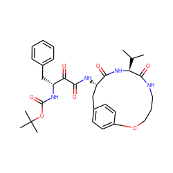 CC(C)[C@@H]1NC(=O)[C@@H](NC(=O)C(=O)[C@@H](Cc2ccccc2)NC(=O)OC(C)(C)C)Cc2ccc(cc2)OCCCNC1=O ZINC000026286490